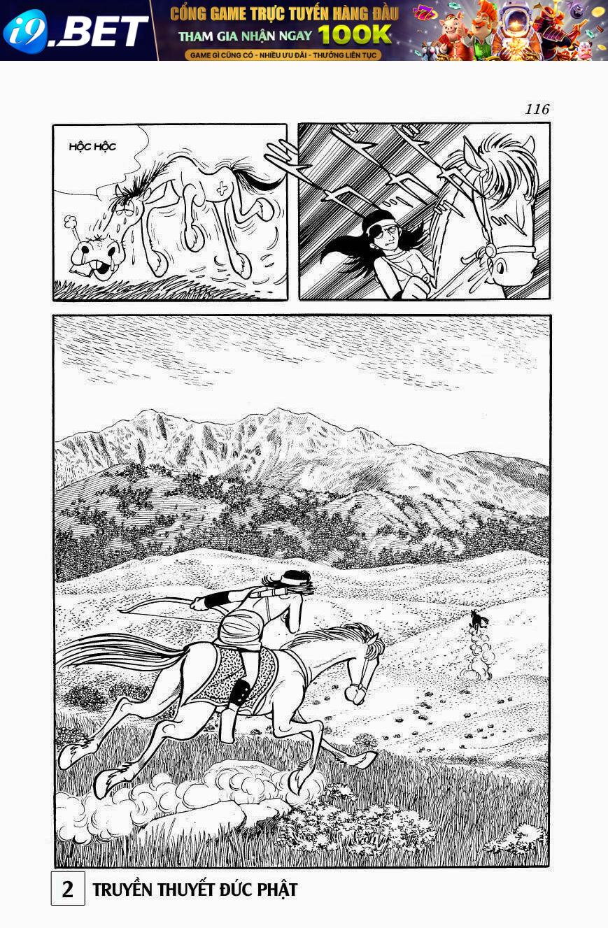 page_16.jpg