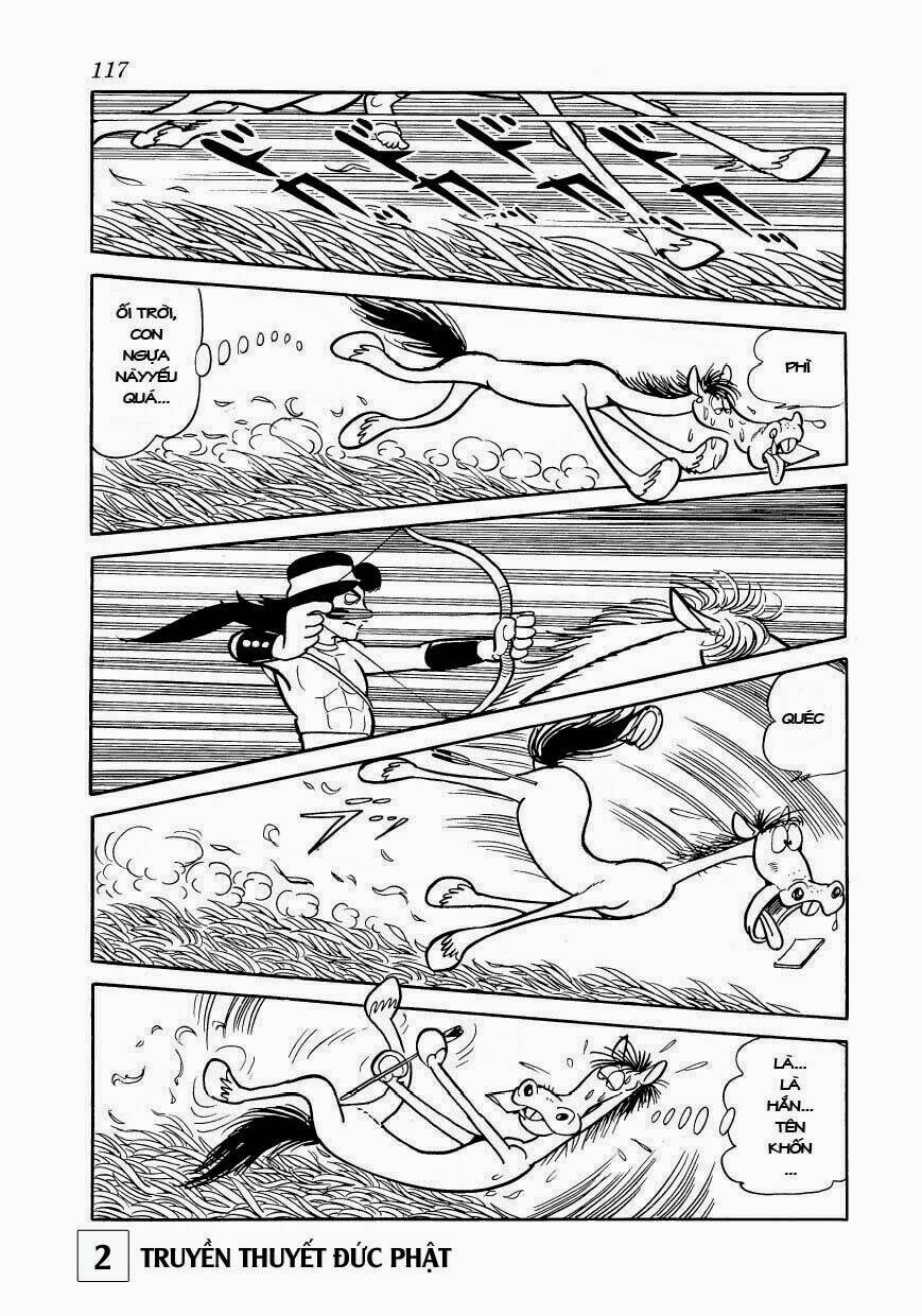 page_17.jpg