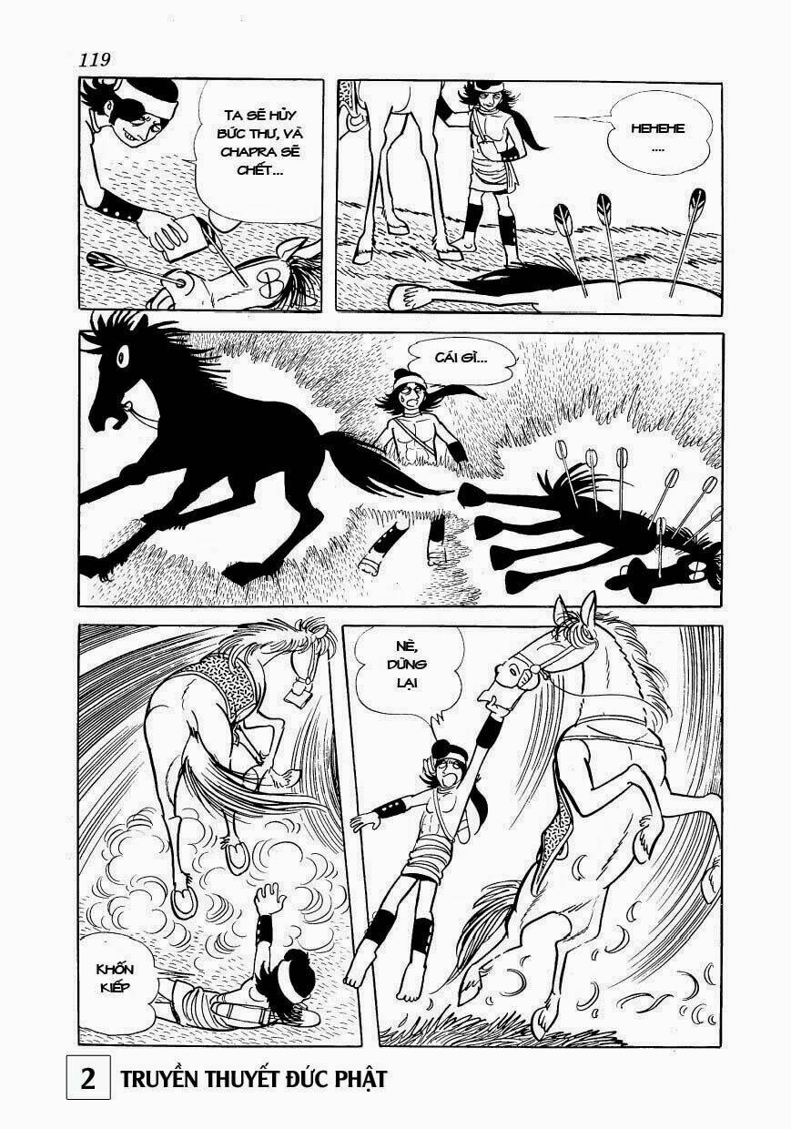 page_19.jpg