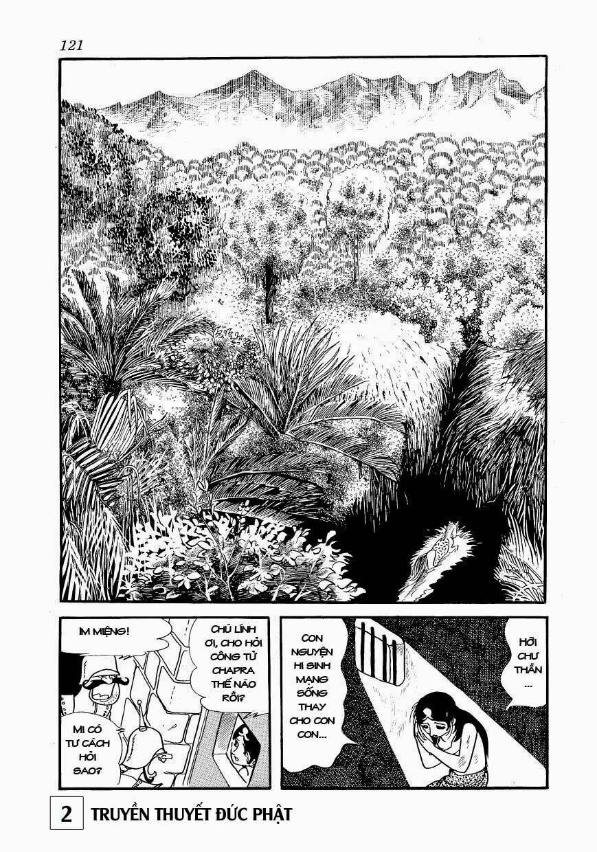 page_21.jpg