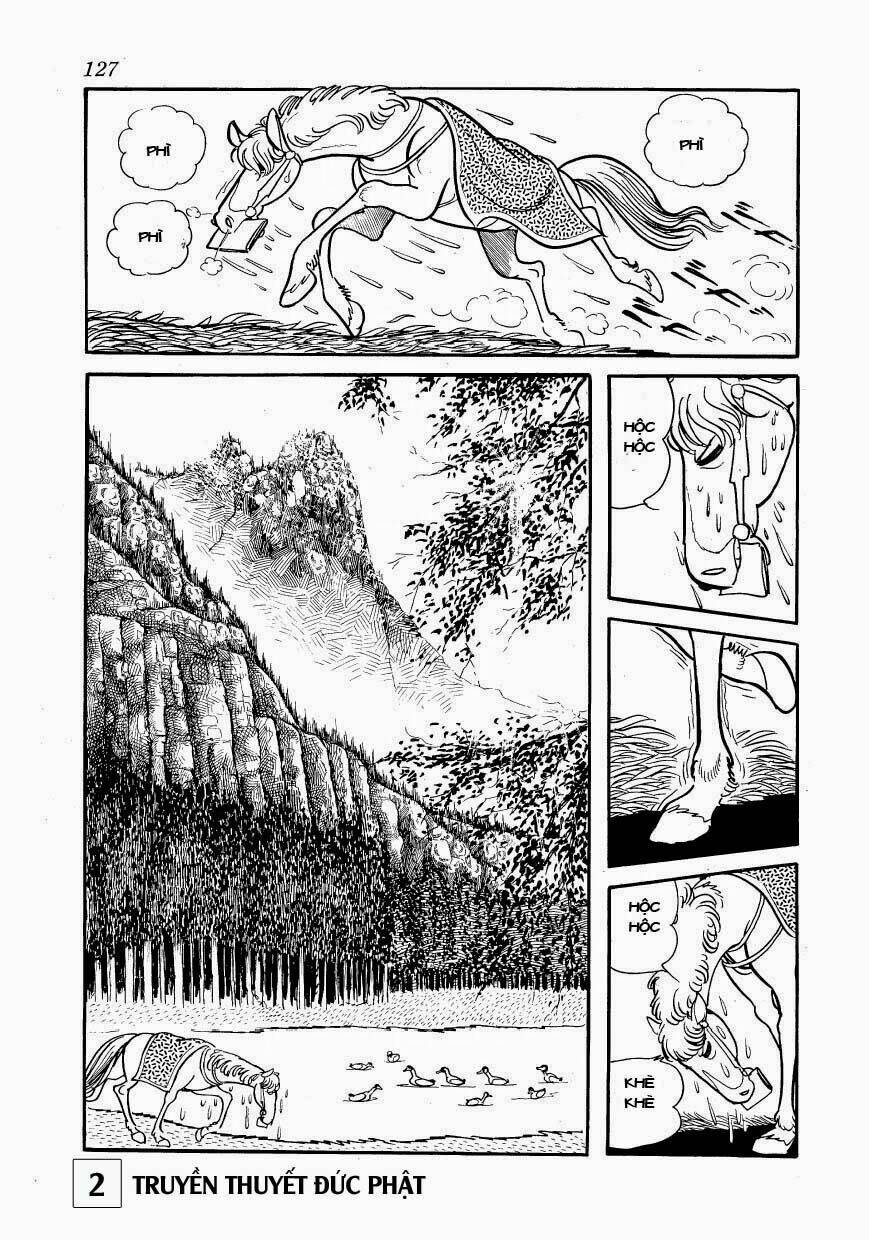page_27.jpg