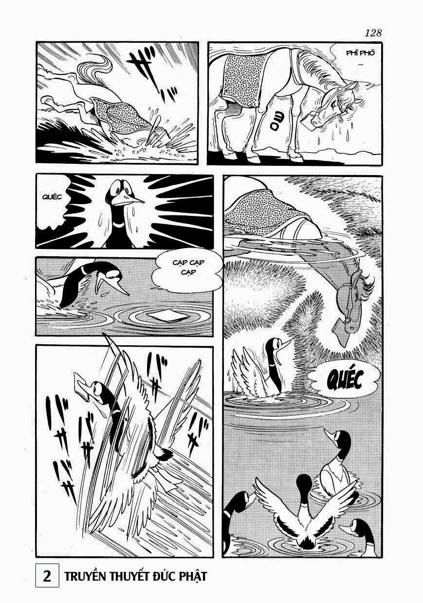 page_28.jpg