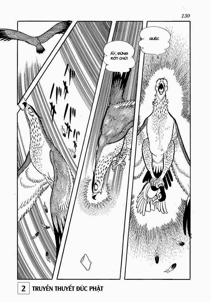 page_30.jpg