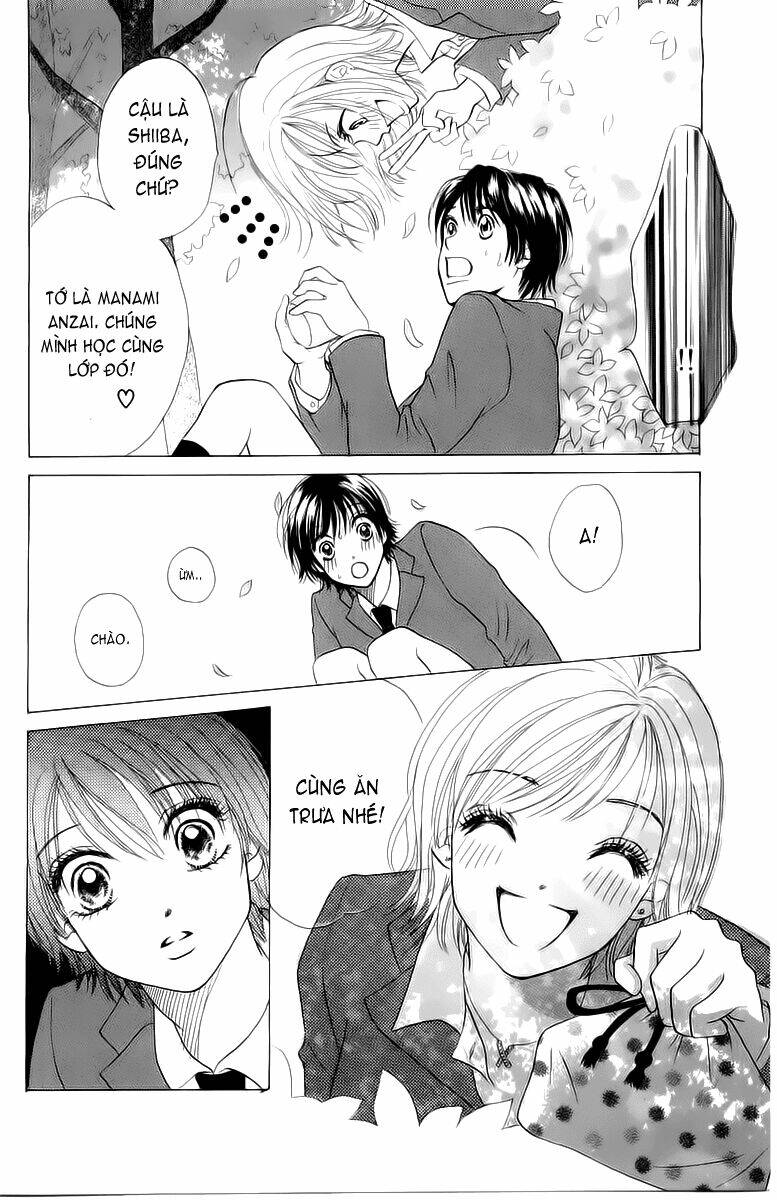 page_17.jpg