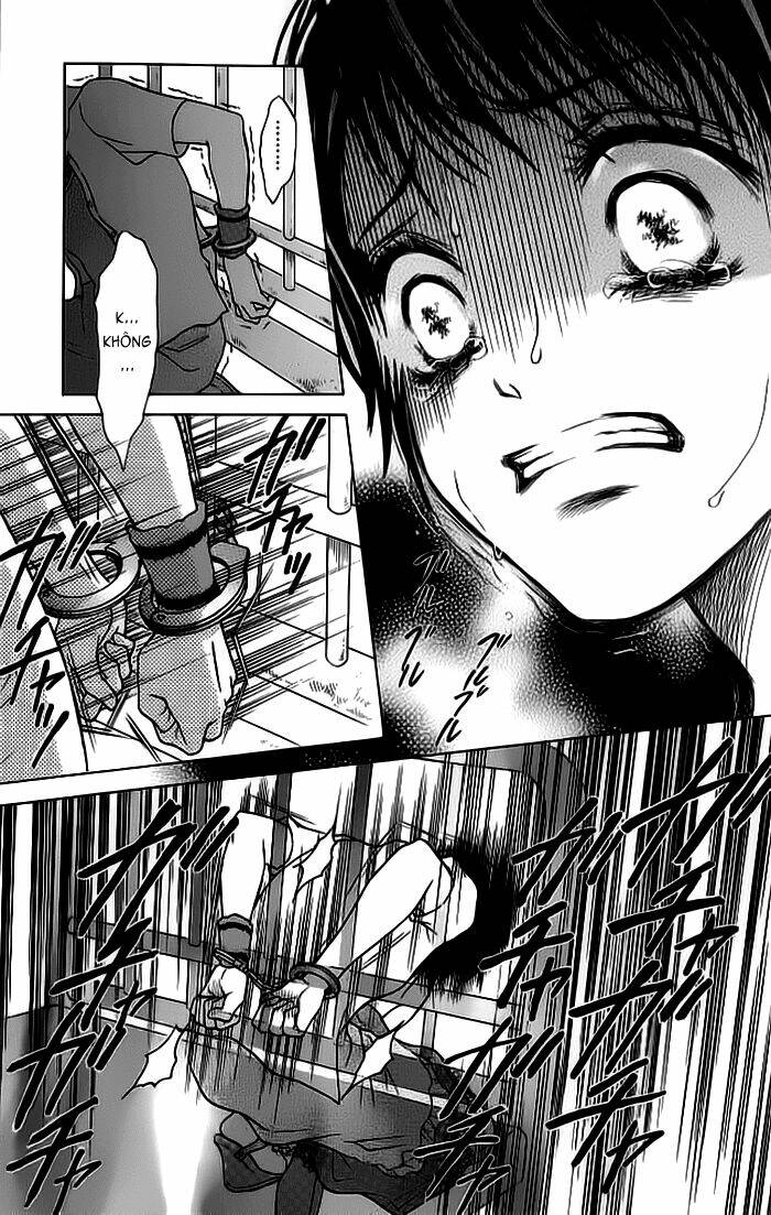 page_20.jpg