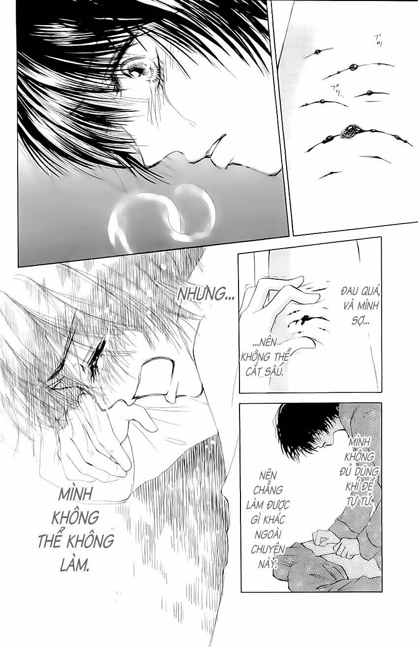 page_28.jpg