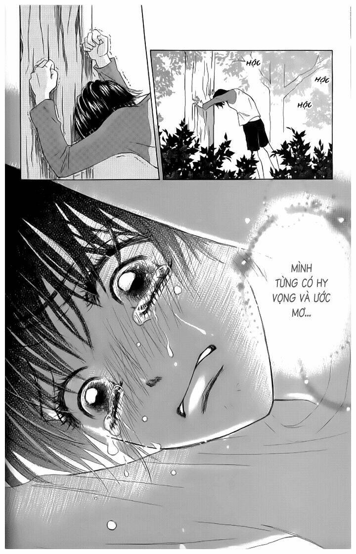 page_17.jpg
