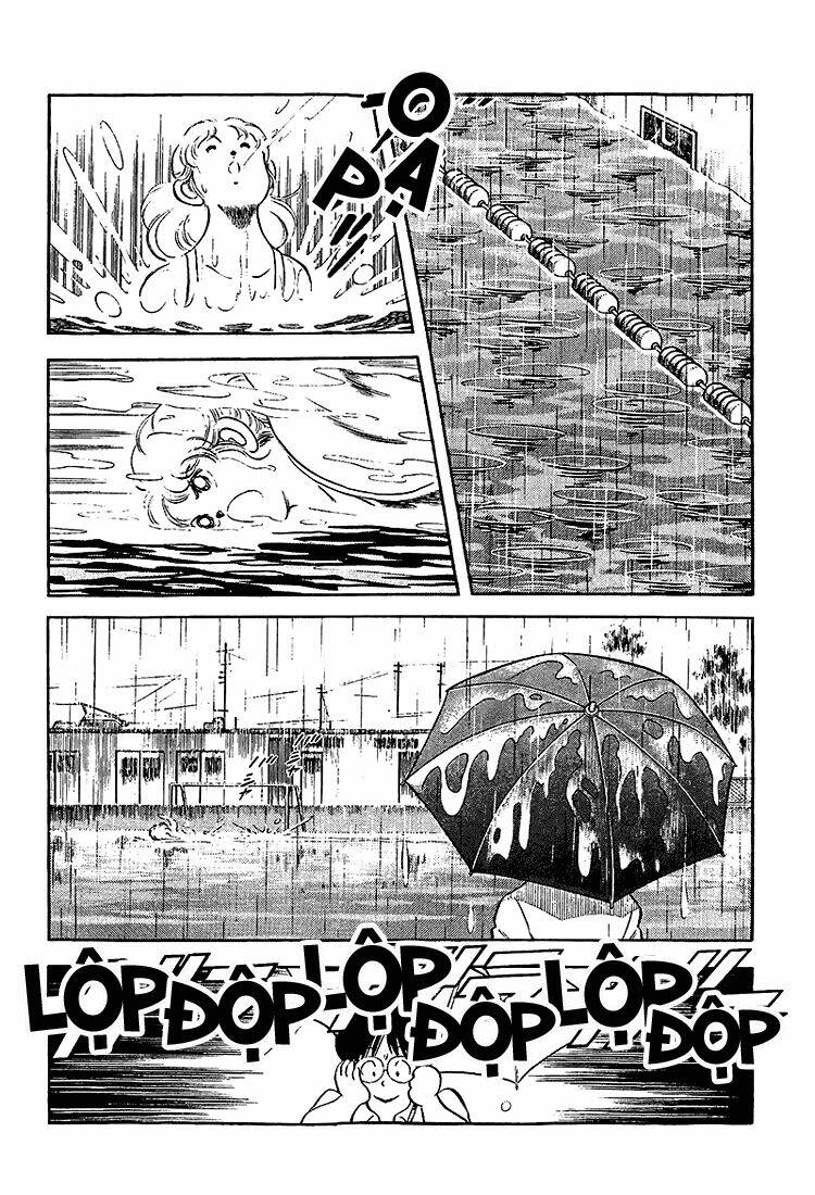page_14.jpg