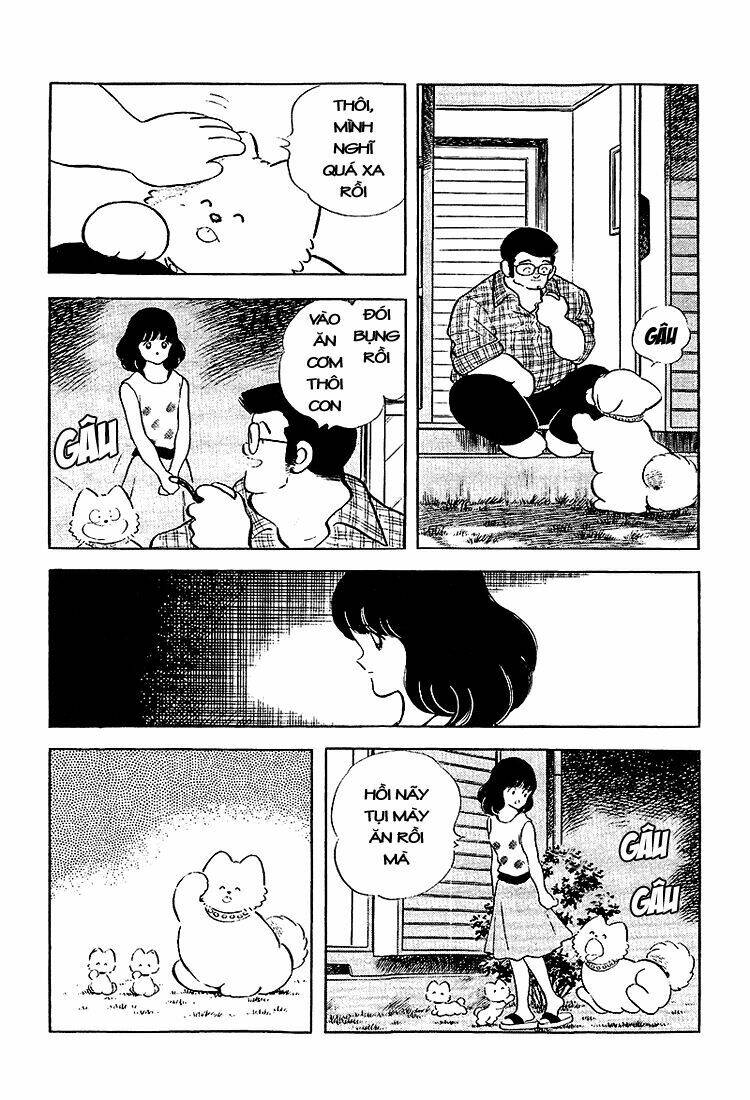 page_13.jpg