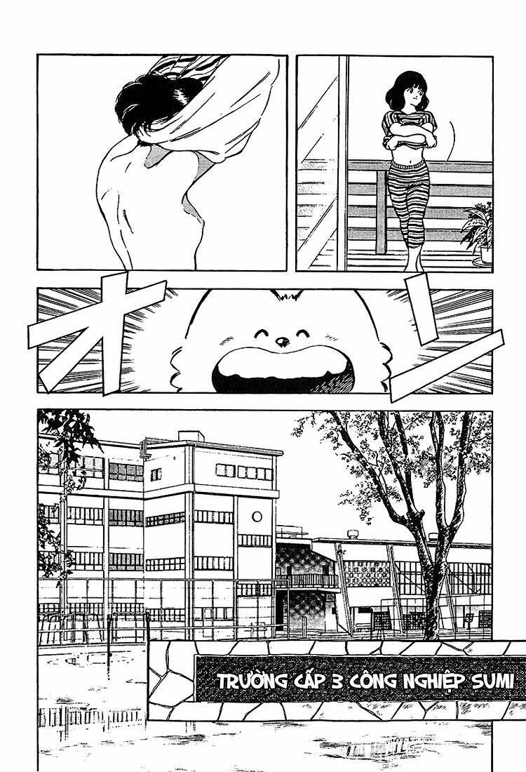 page_17.jpg