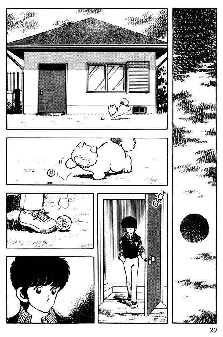 page_19.jpg