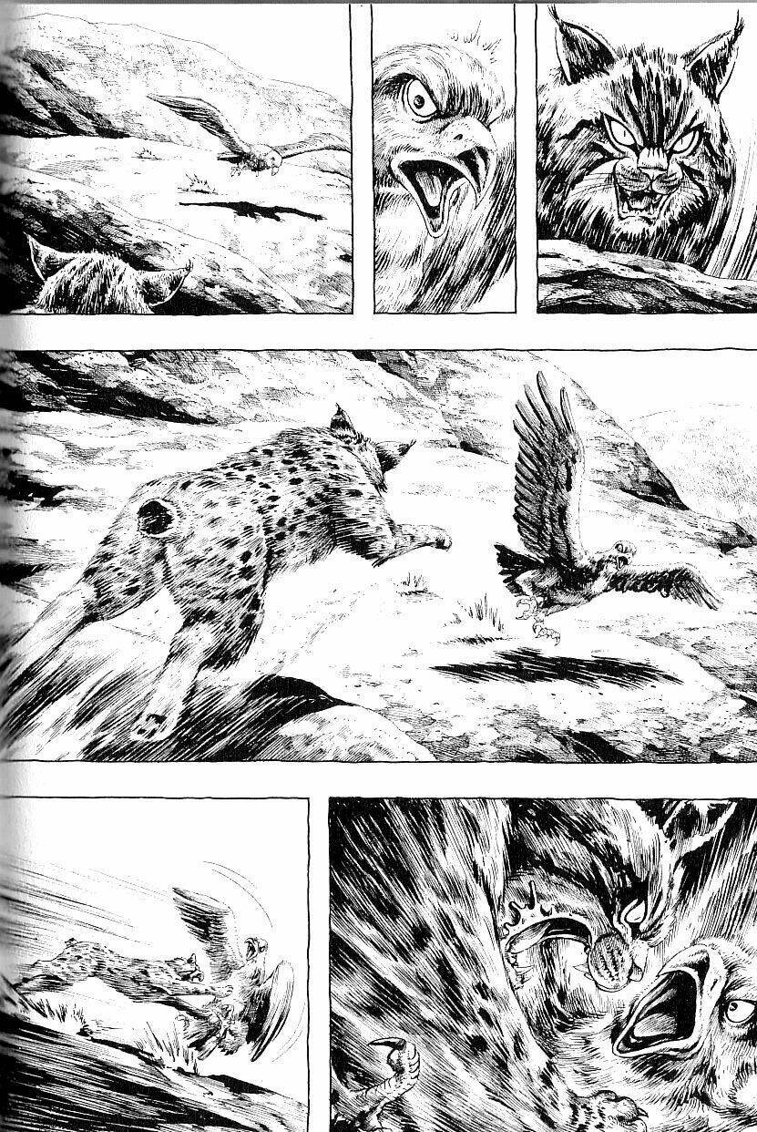 page_19.jpg