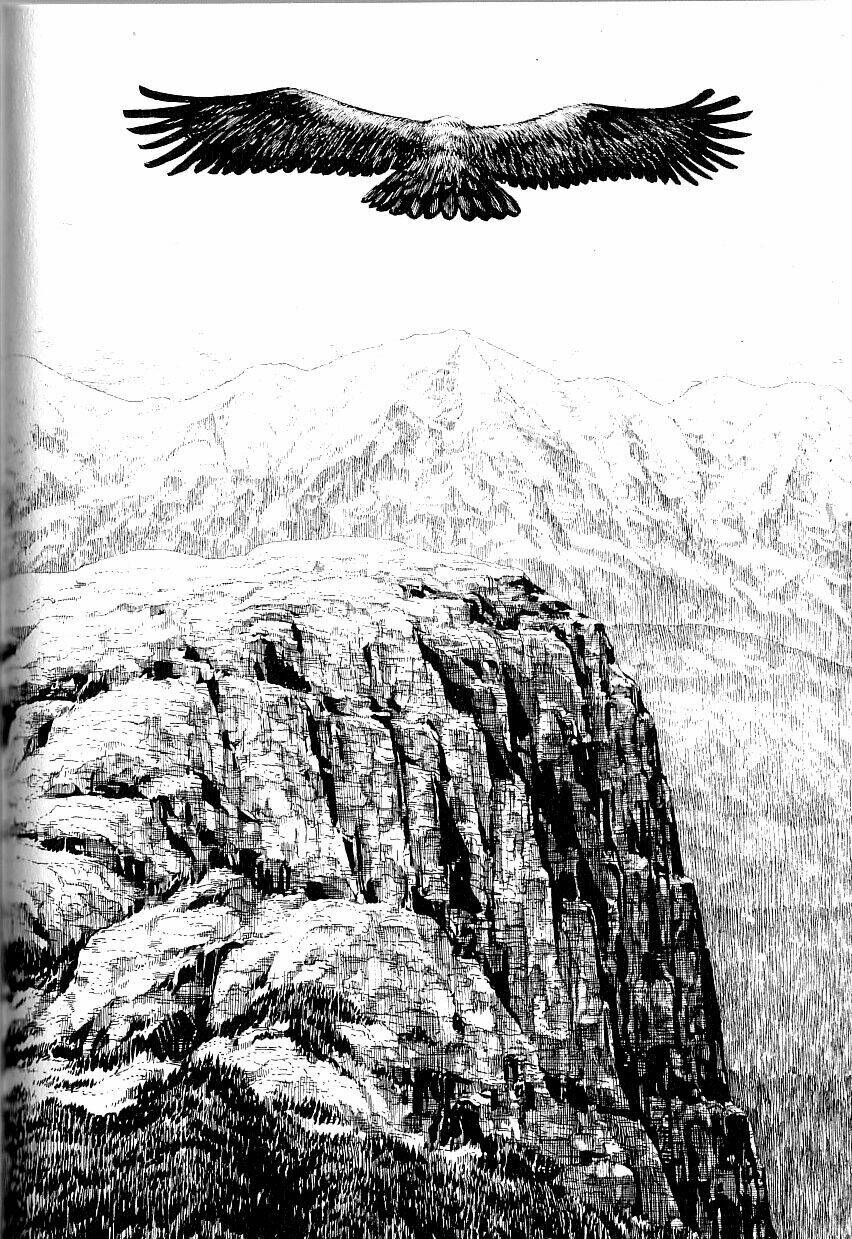 page_2.jpg