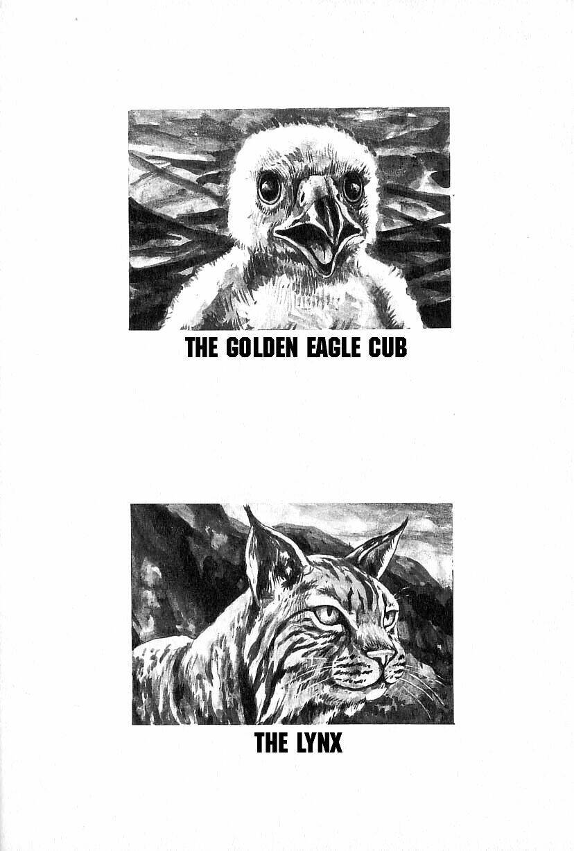 page_31.jpg