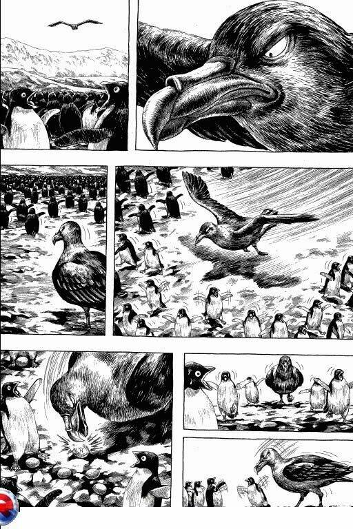 page_16.jpg
