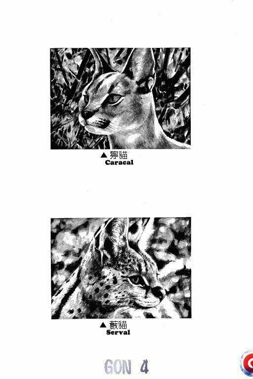 page_32.jpg