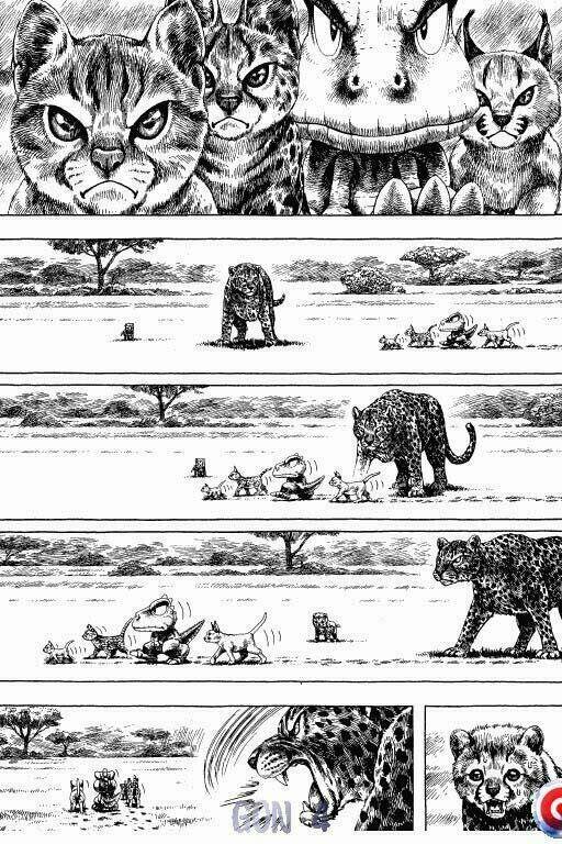 page_8.jpg