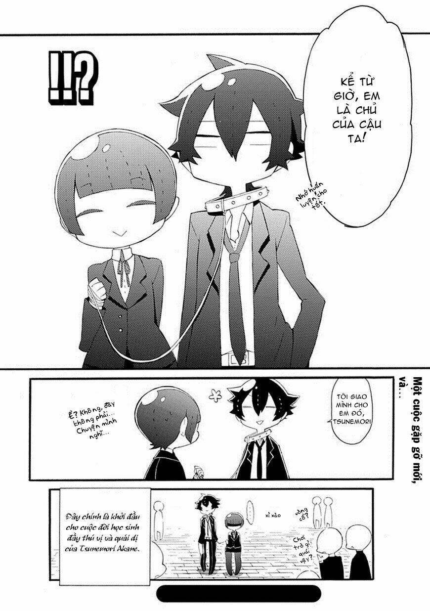 page_24.jpg