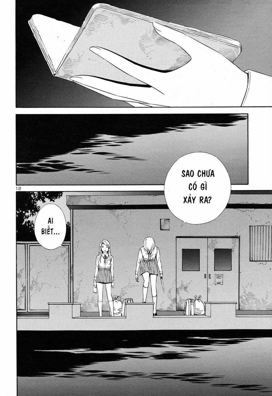 page_12.jpg