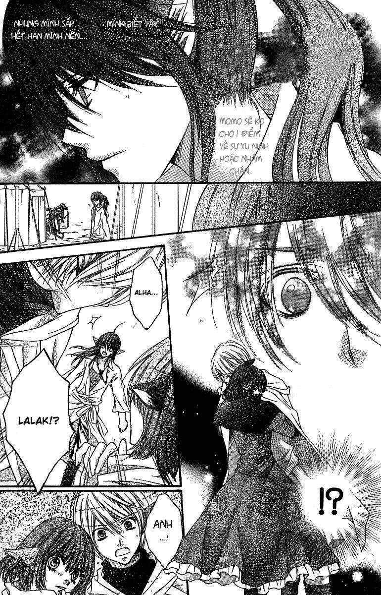 page_23.jpg