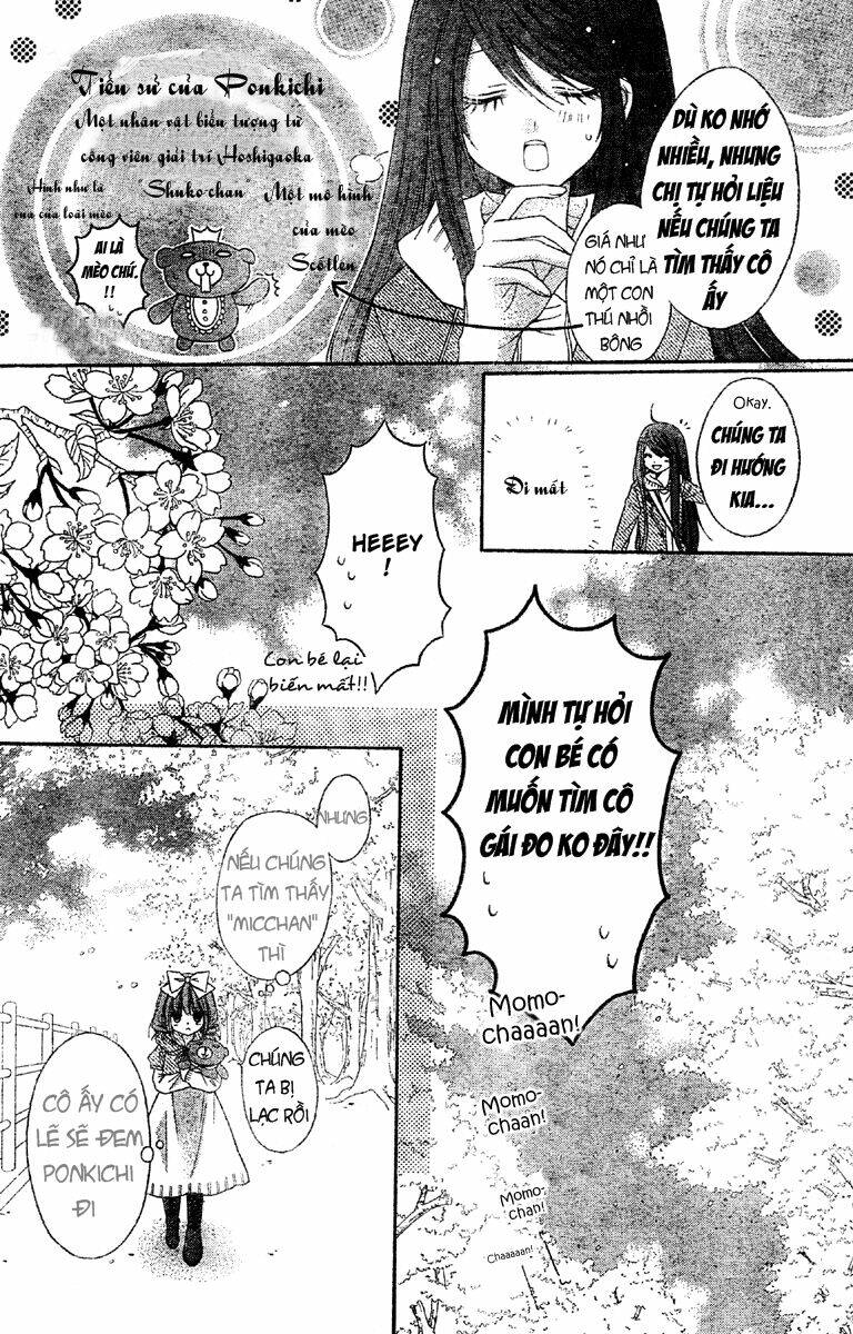 page_11.jpg