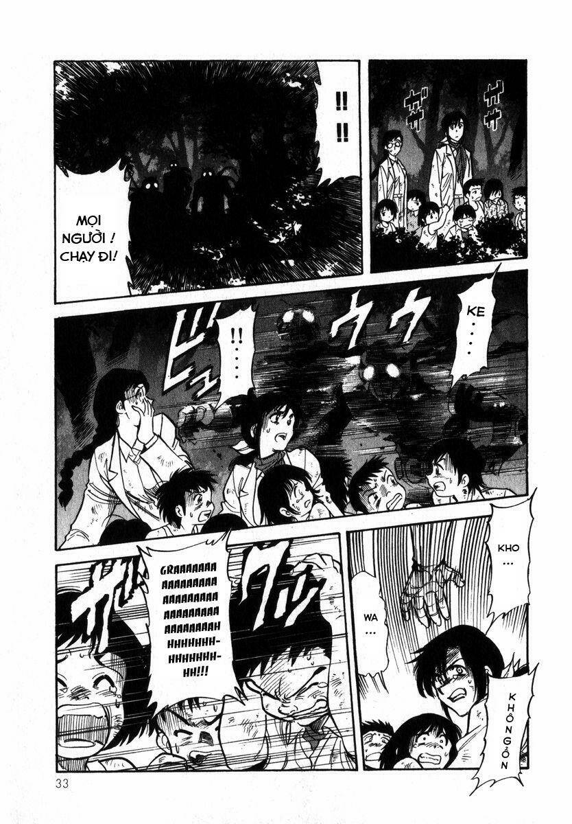 page_33.jpg