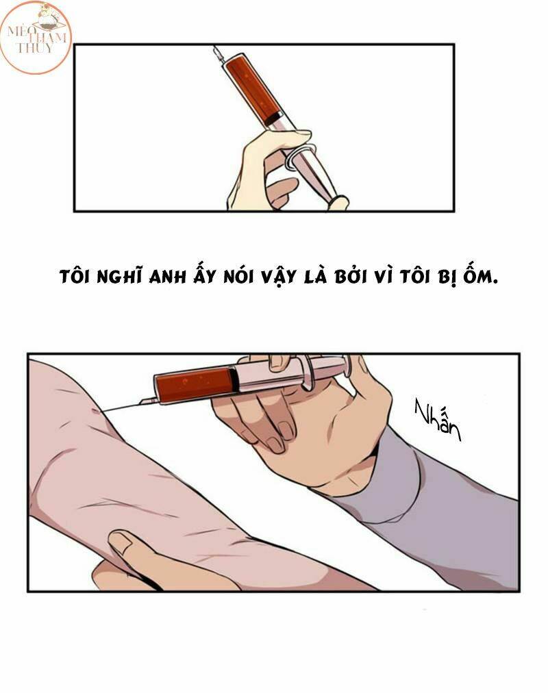 page_20.jpg