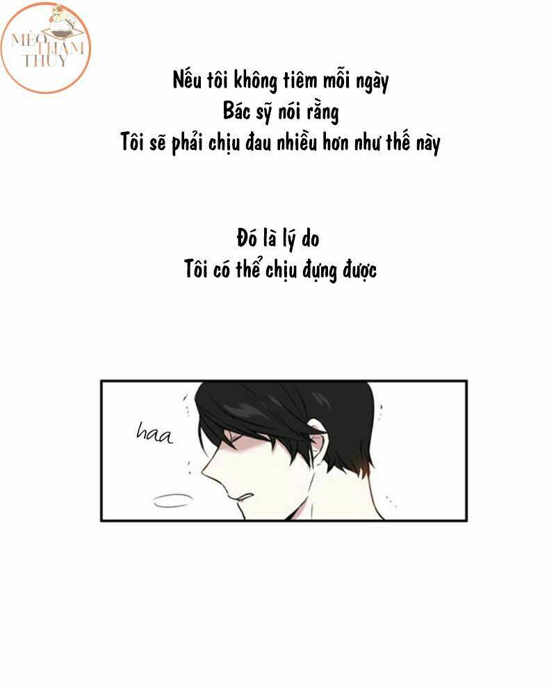 page_24.jpg