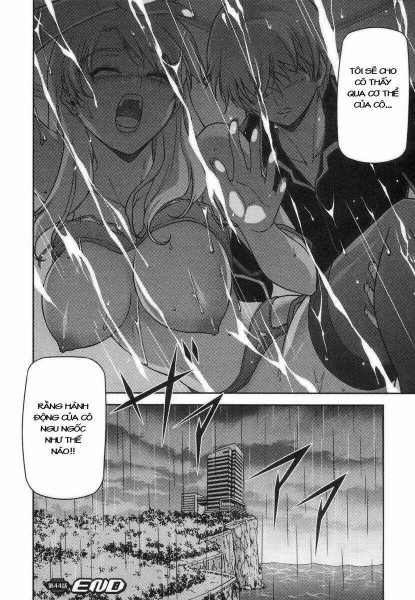 page_25.jpg