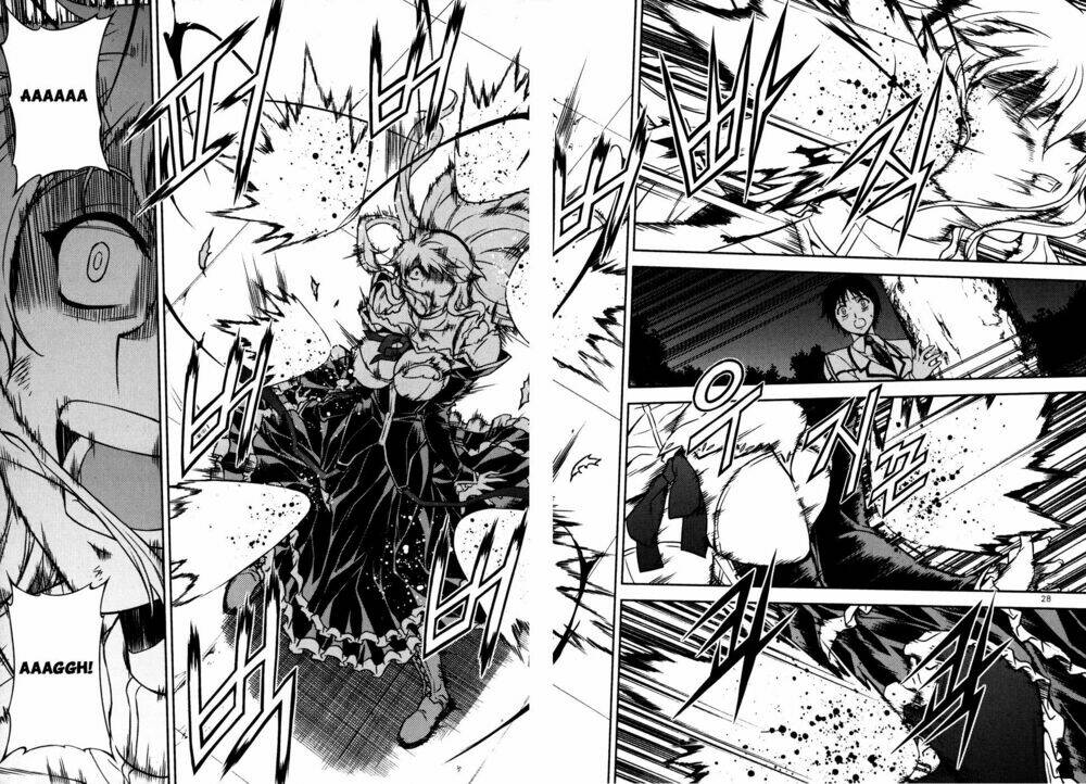 page_28.jpg