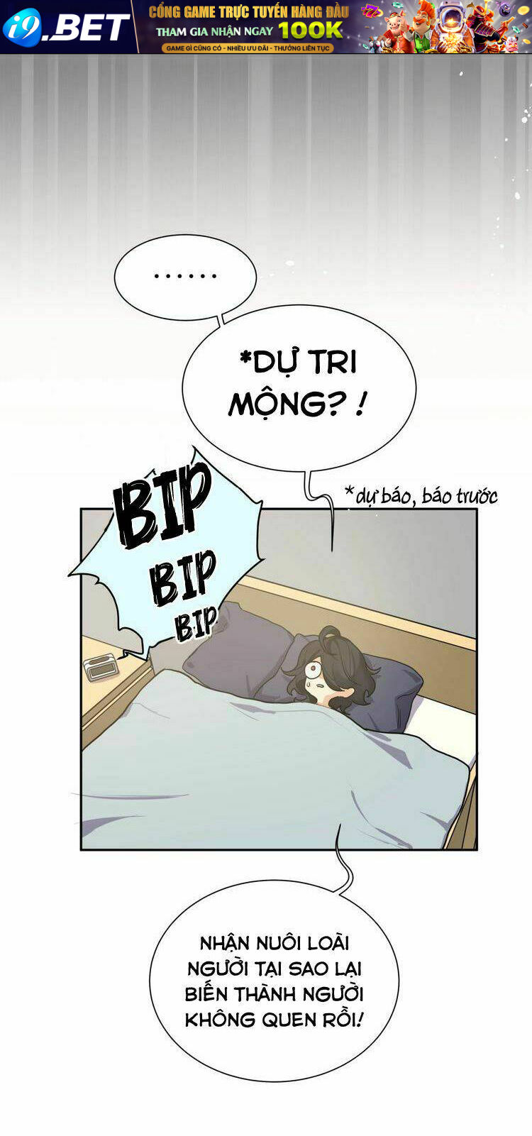 page_35.jpg