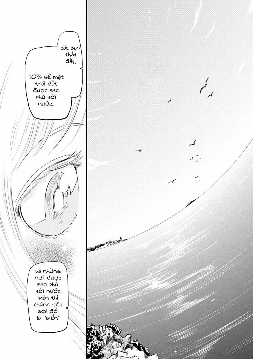 page_13.jpg
