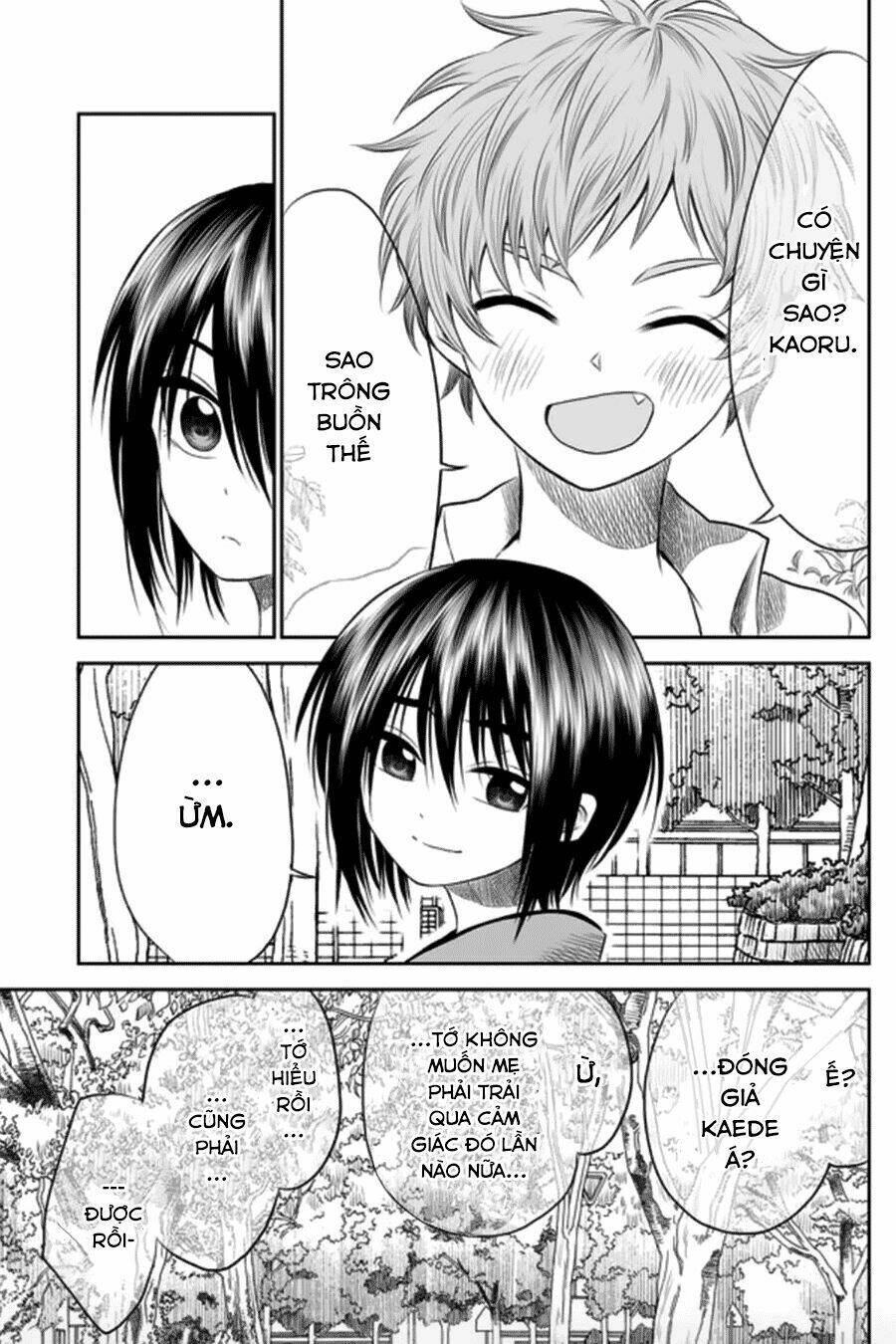 page_11.jpg