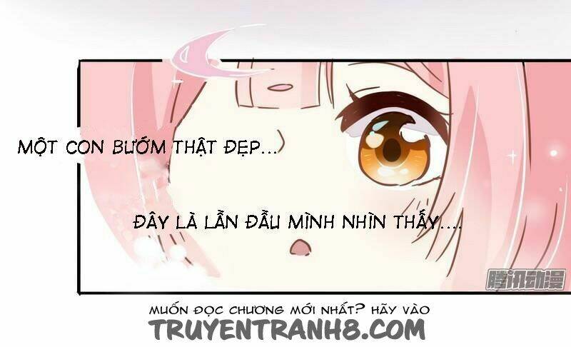 page_13.jpg