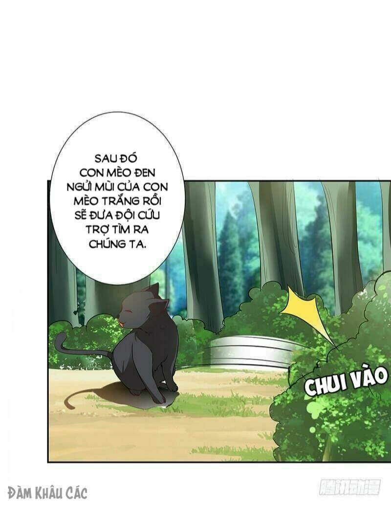 page_4.jpg