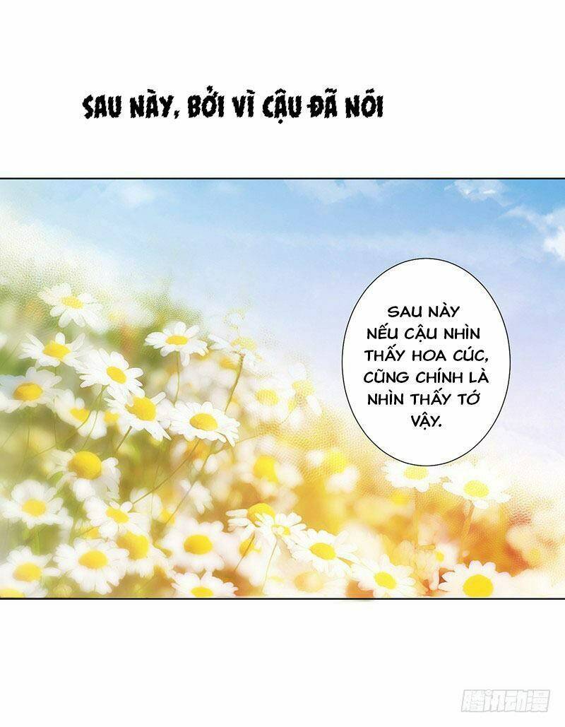 page_29.jpg