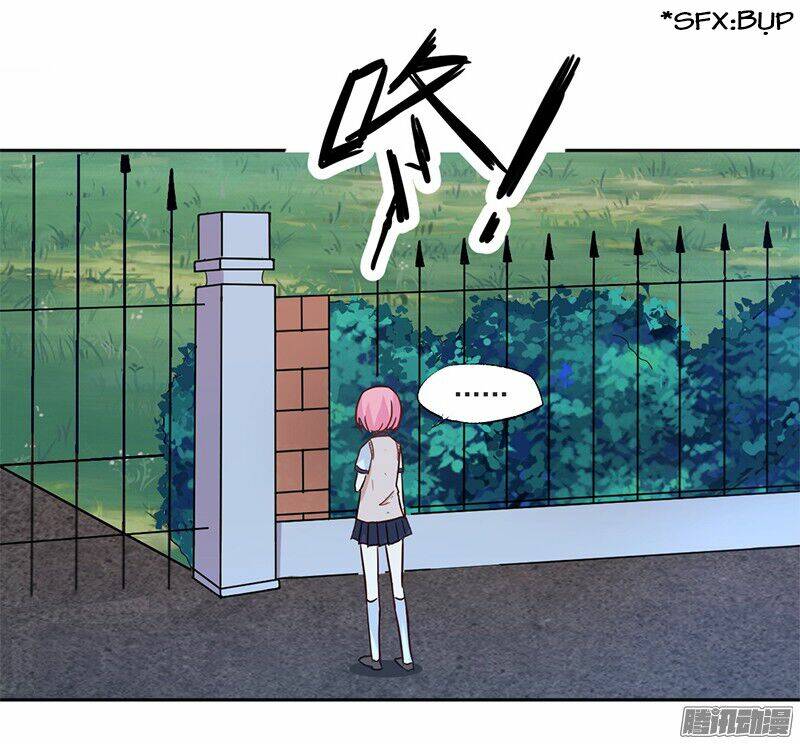 page_19.jpg