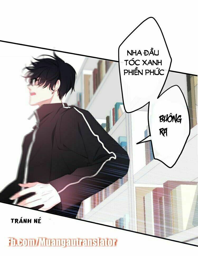 page_27.jpg