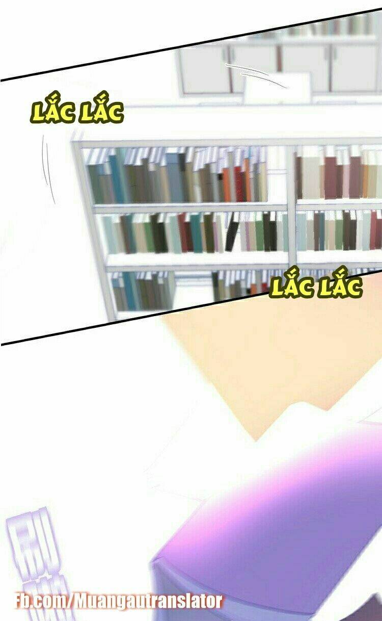 page_29.jpg