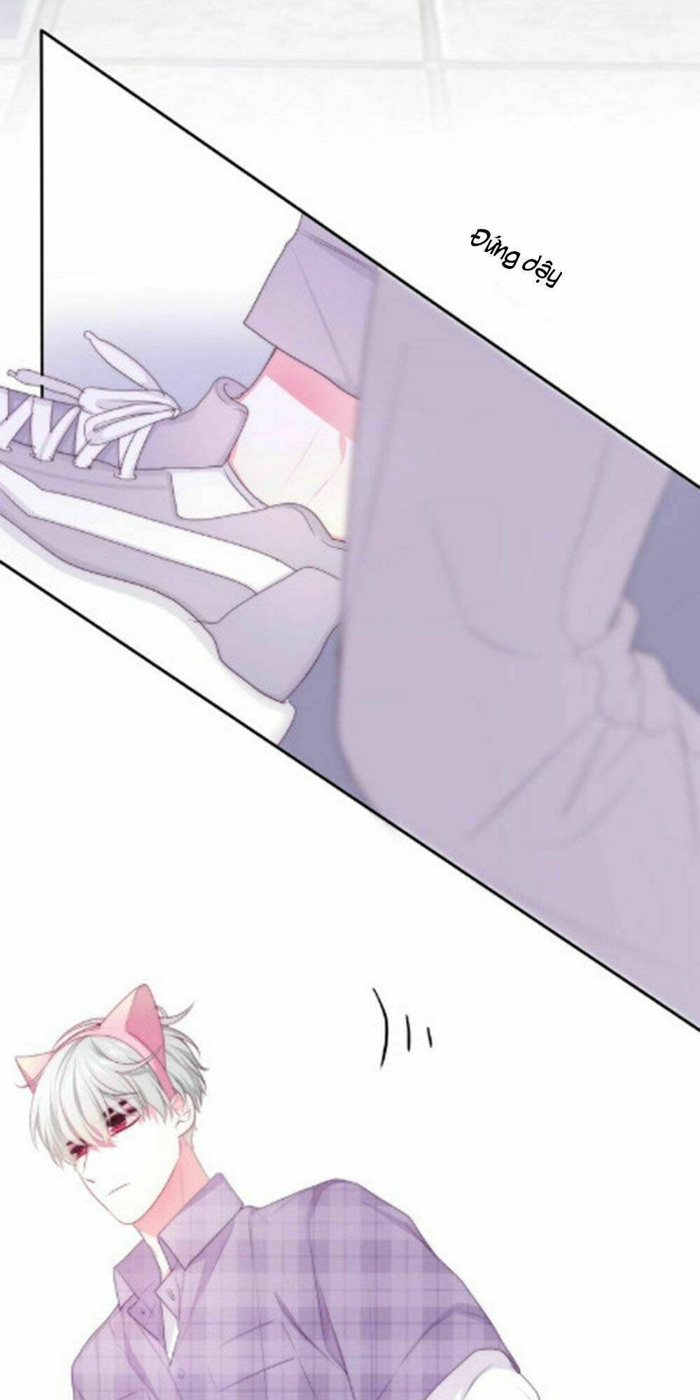 page_19.jpg