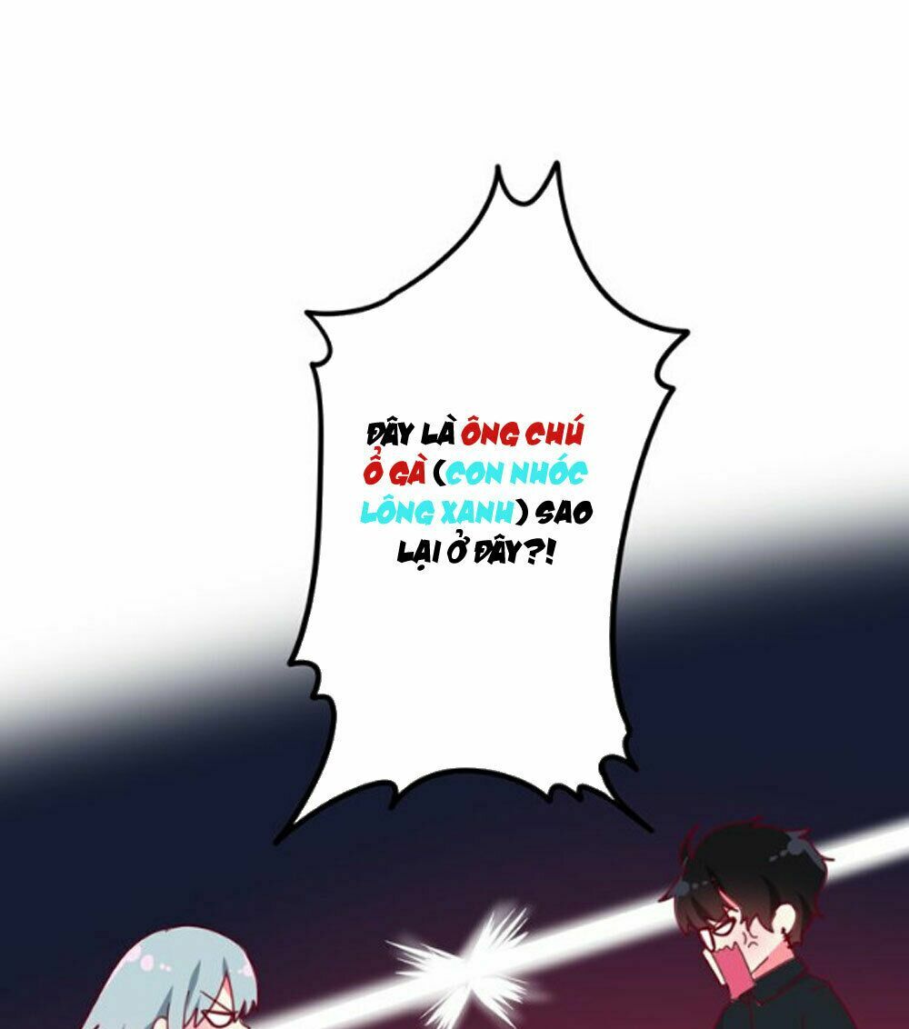 page_54.jpg