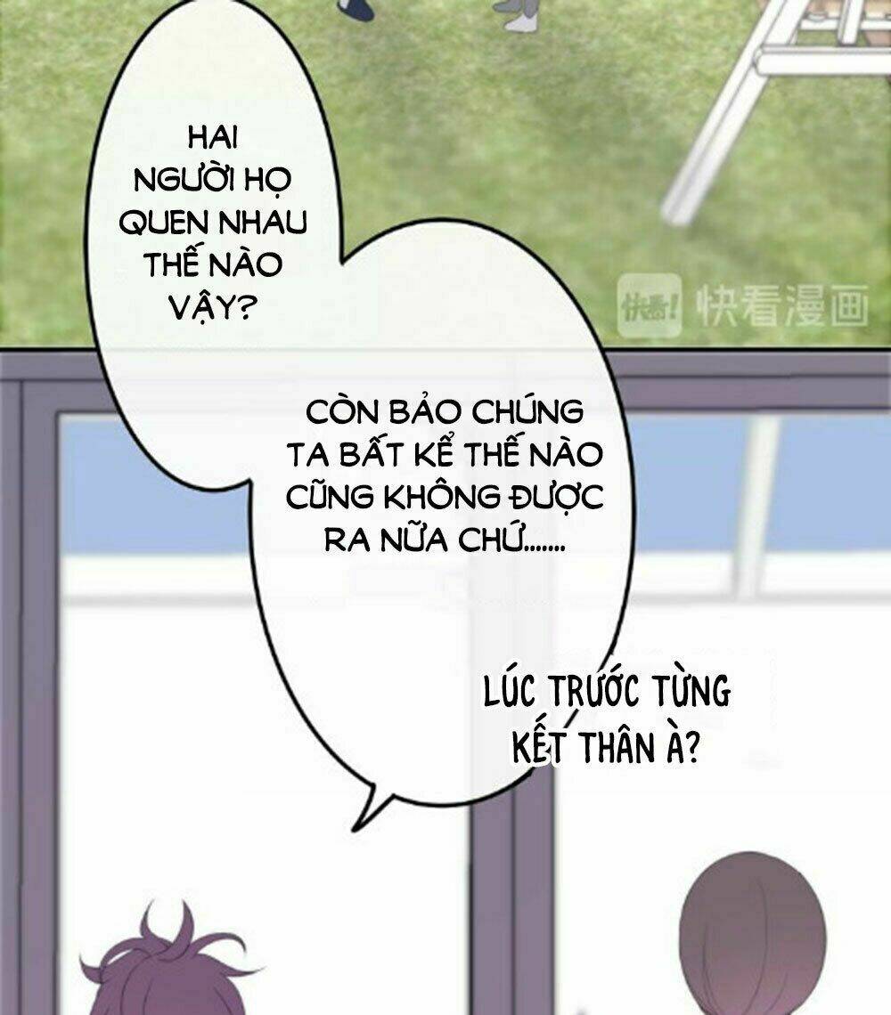 page_19.jpg