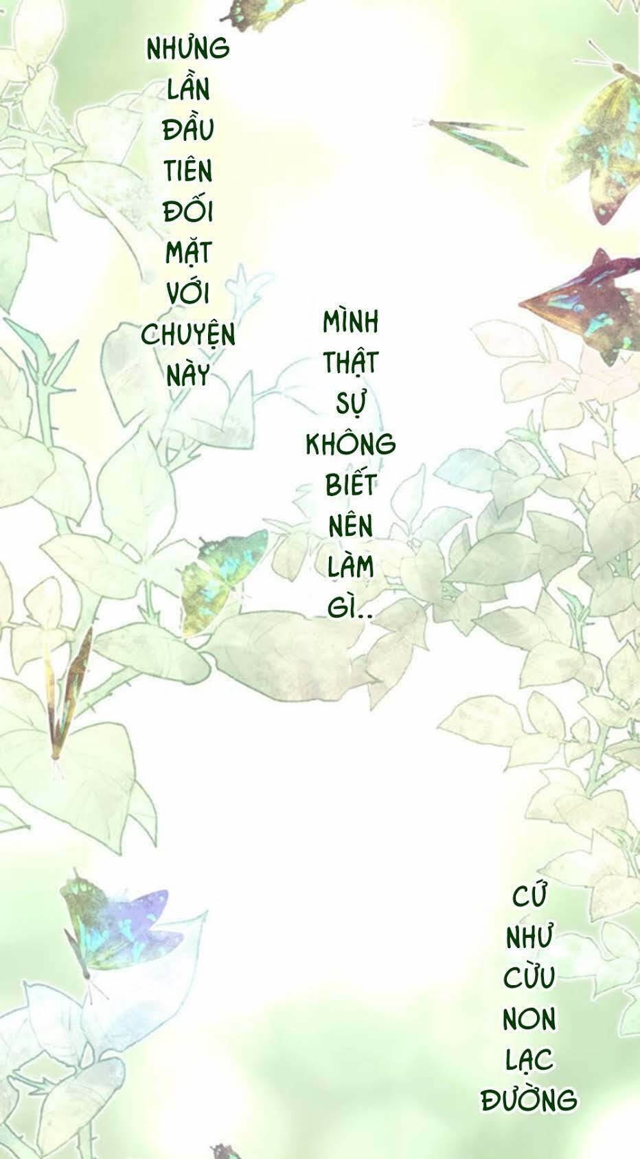 page_37.jpg