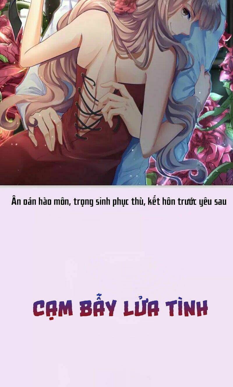 page_27.jpg