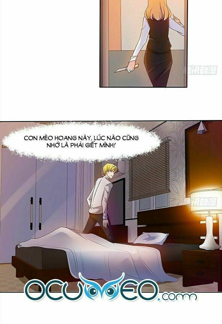 page_13.jpg