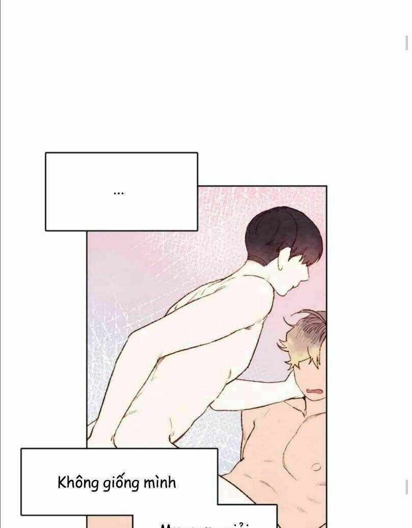 page_14.jpg