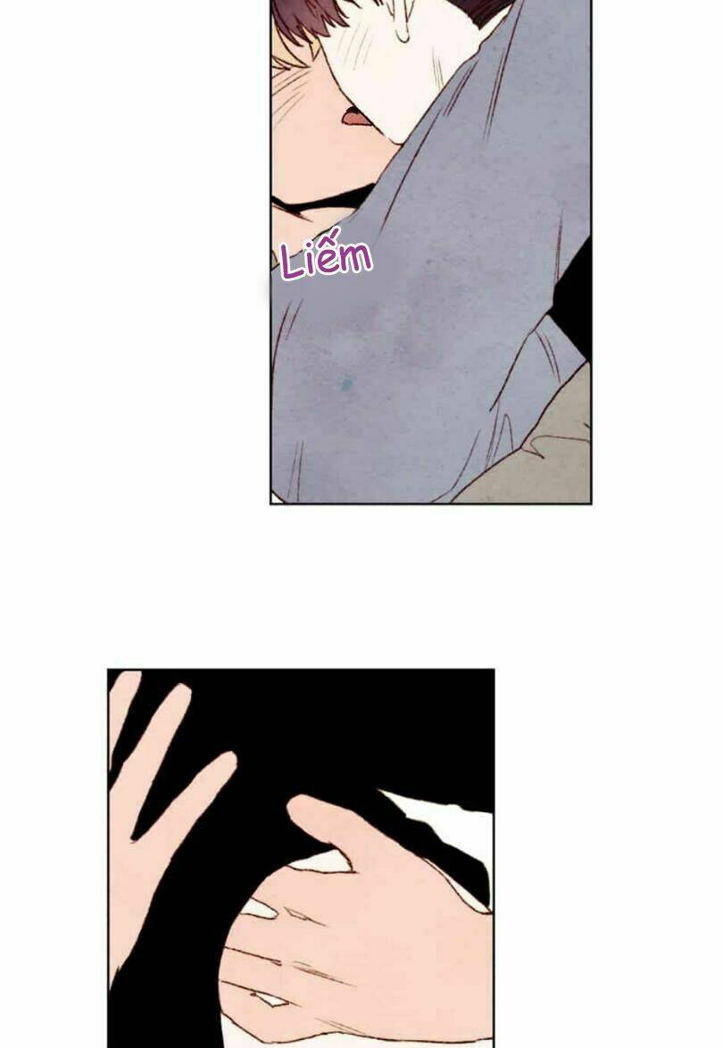 page_13.jpg