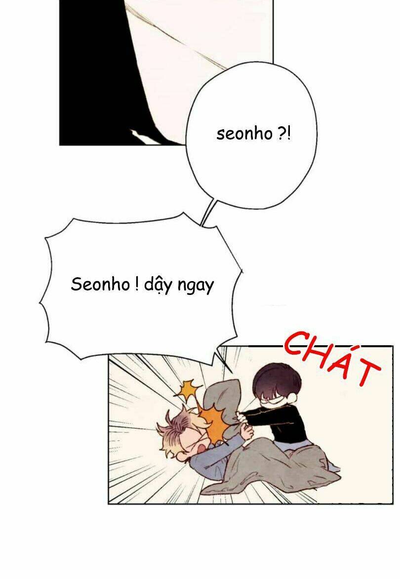 page_14.jpg