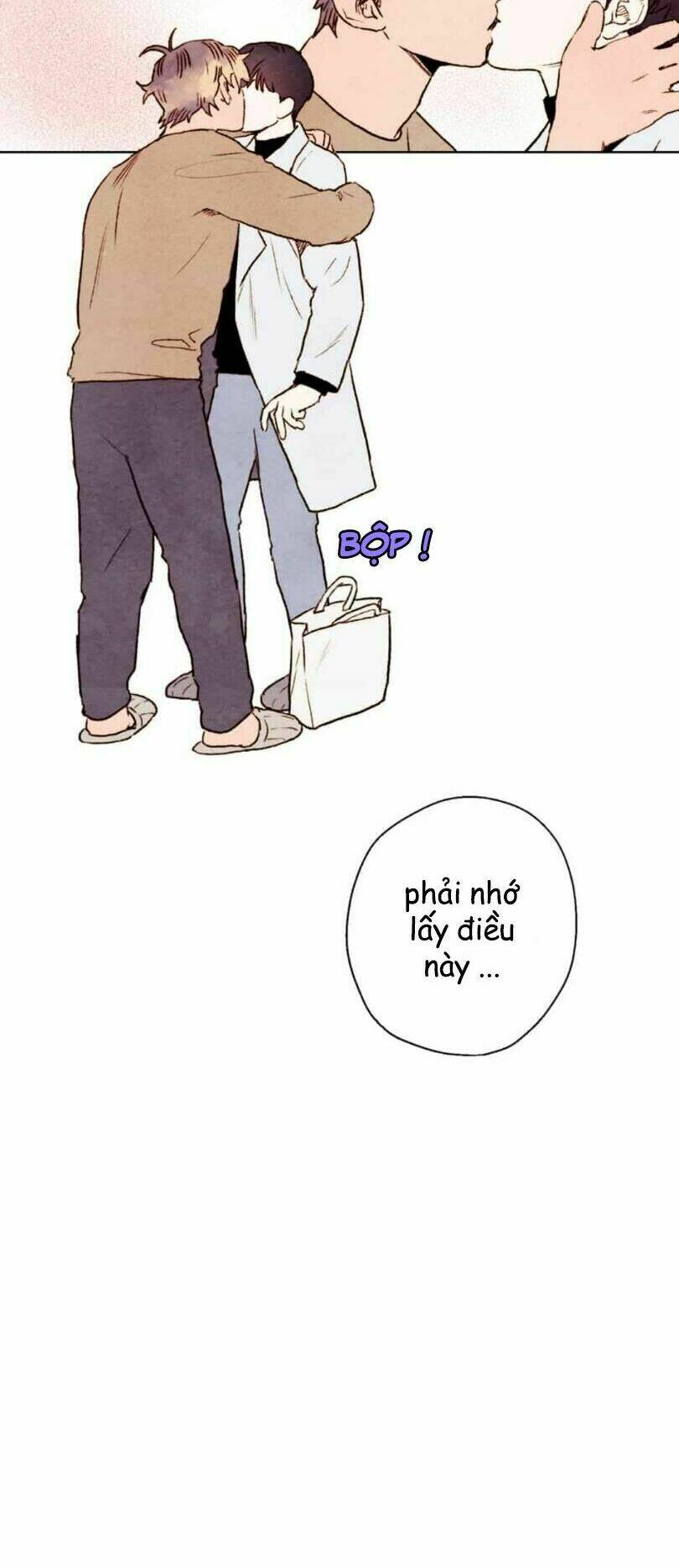 page_30.jpg