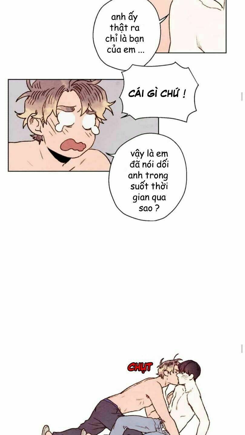 page_14.jpg